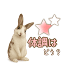 ウサギちゃん☆大切な人への日常スタンプ（個別スタンプ：2）