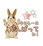 ウサギちゃん☆大切な人への日常スタンプ（個別スタンプ：3）