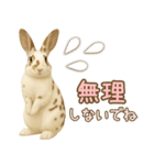 ウサギちゃん☆大切な人への日常スタンプ（個別スタンプ：4）