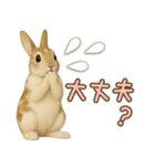 ウサギちゃん☆大切な人への日常スタンプ（個別スタンプ：5）