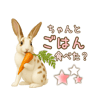 ウサギちゃん☆大切な人への日常スタンプ（個別スタンプ：6）