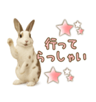 ウサギちゃん☆大切な人への日常スタンプ（個別スタンプ：11）