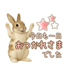 ウサギちゃん☆大切な人への日常スタンプ（個別スタンプ：14）