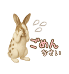 ウサギちゃん☆大切な人への日常スタンプ（個別スタンプ：15）
