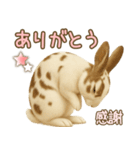 ウサギちゃん☆大切な人への日常スタンプ（個別スタンプ：16）