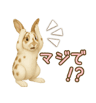 ウサギちゃん☆大切な人への日常スタンプ（個別スタンプ：22）