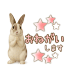 ウサギちゃん☆大切な人への日常スタンプ（個別スタンプ：23）