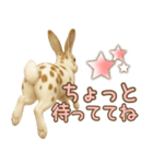 ウサギちゃん☆大切な人への日常スタンプ（個別スタンプ：26）