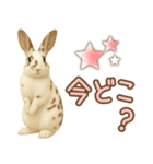 ウサギちゃん☆大切な人への日常スタンプ（個別スタンプ：27）