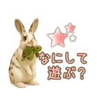ウサギちゃん☆大切な人への日常スタンプ（個別スタンプ：29）