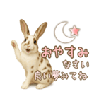 ウサギちゃん☆大切な人への日常スタンプ（個別スタンプ：32）