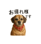 大好きくーちゃんスタンプ 1（個別スタンプ：1）