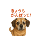 大好きくーちゃんスタンプ 1（個別スタンプ：9）