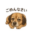 大好きくーちゃんスタンプ 1（個別スタンプ：13）