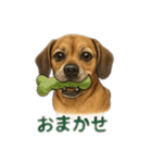 大好きくーちゃんスタンプ 1（個別スタンプ：14）