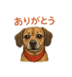 大好きくーちゃんスタンプ 1（個別スタンプ：15）