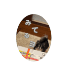 チロルとデイル（個別スタンプ：7）