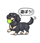 ダックス(ロング＋ブラッククリーム）（個別スタンプ：1）