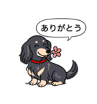 ダックス(ロング＋ブラッククリーム）（個別スタンプ：5）