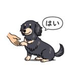ダックス(ロング＋ブラッククリーム）（個別スタンプ：6）