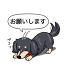ダックス(ロング＋ブラッククリーム）（個別スタンプ：7）