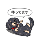 ダックス(ロング＋ブラッククリーム）（個別スタンプ：10）