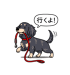 ダックス(ロング＋ブラッククリーム）（個別スタンプ：11）