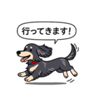ダックス(ロング＋ブラッククリーム）（個別スタンプ：13）