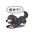 ダックス(ロング＋ブラッククリーム）（個別スタンプ：15）