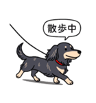 ダックス(ロング＋ブラッククリーム）（個別スタンプ：17）