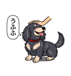 ダックス(ロング＋ブラッククリーム）（個別スタンプ：19）