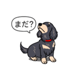 ダックス(ロング＋ブラッククリーム）（個別スタンプ：20）