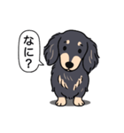 ダックス(ロング＋ブラッククリーム）（個別スタンプ：22）