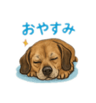 大好きくーちゃんスタンプ 2（個別スタンプ：5）