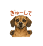 大好きくーちゃんスタンプ 2（個別スタンプ：6）