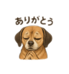 大好きくーちゃんスタンプ 2（個別スタンプ：11）