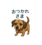 大好きくーちゃんスタンプ 2（個別スタンプ：12）