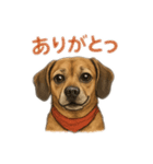 大好きくーちゃんスタンプ 2（個別スタンプ：14）
