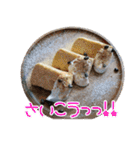 おしゃれなシフォンケーキ（個別スタンプ：9）