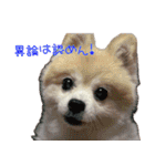 おしゃれなシフォンケーキ（個別スタンプ：35）