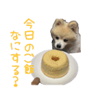 おしゃれなシフォンケーキ（個別スタンプ：36）