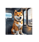 柴犬の日常10（個別スタンプ：5）