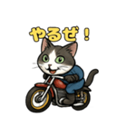 バイク猫のぶんた（個別スタンプ：1）