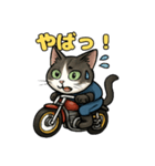 バイク猫のぶんた（個別スタンプ：2）
