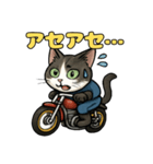 バイク猫のぶんた（個別スタンプ：3）
