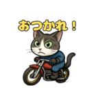 バイク猫のぶんた（個別スタンプ：10）