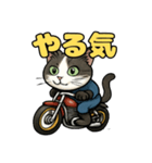 バイク猫のぶんた（個別スタンプ：11）