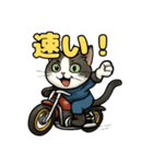 バイク猫のぶんた（個別スタンプ：12）