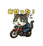 バイク猫のぶんた（個別スタンプ：15）