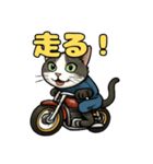 バイク猫のぶんた（個別スタンプ：16）